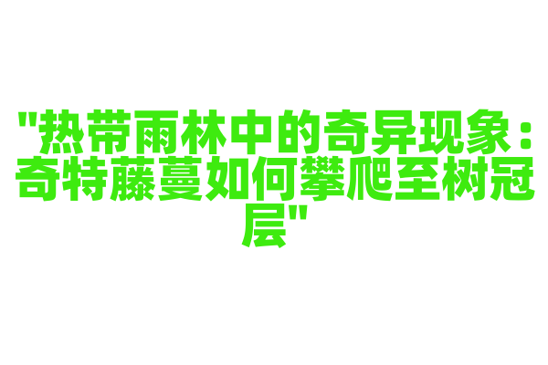 "热带雨林中的奇异现象：奇特藤蔓如何攀爬至树冠层"